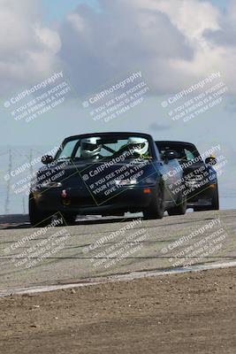 media/Mar-31-2024-Speed Ventures (Sun) [[a3b2bf813d]]/Purple/Session 2 (Grapevine)/